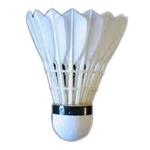 shuttlecock 